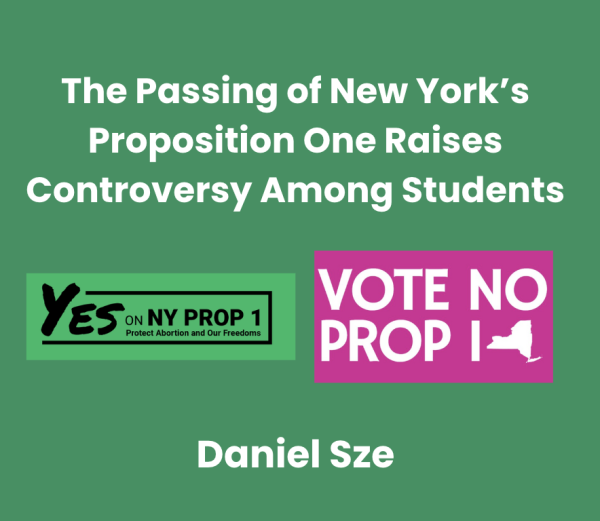 Proposition One passed on Election Day, Tuesday, November 5th. (Photos from nyequalrights.org and "The Coalition to Protect Kids - NY" on Facebook)